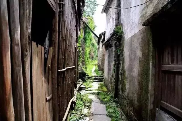 探秘小巷深处的独特风味，本周最新久久一本特色小店之旅