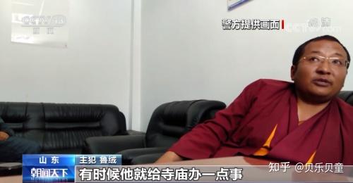 揭秘最新气功潮流，科学解读与趋势展望（11月10日更新）