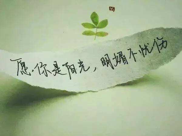 邓姓文字图片分享，秋日温馨记忆与友情魔法日的纪念时刻
