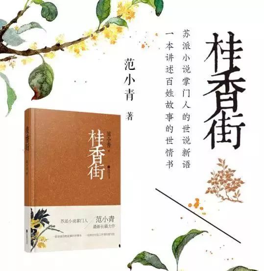 探秘小巷深处的文学秘境，小说小姐最新隐藏章节揭晓