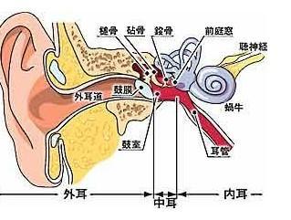 探秘隐藏式特色小店，耳鸣福音的神奇治愈之旅（最新突破报道）