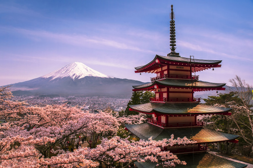 本月最新日本后级旅行指南，探索自然秘境，追寻内心平静之旅