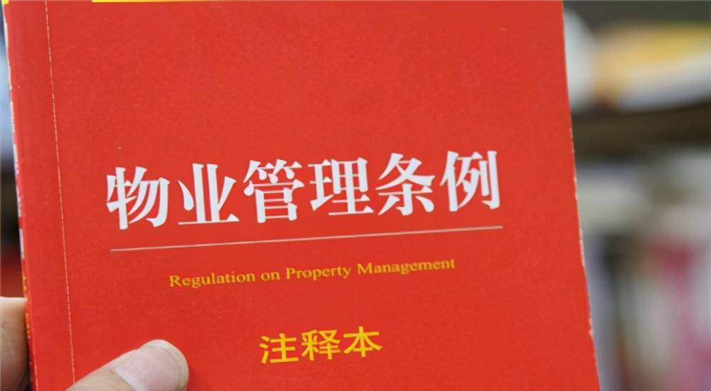 2024年西樵最新招聘全面解读，产品特性、体验、竞争分析与用户群体剖析