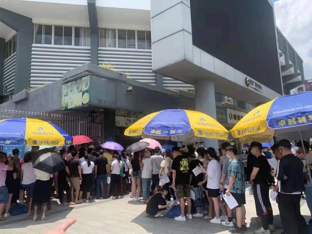 广州黄埔教师招聘系统上线，科技赋能教育新篇章
