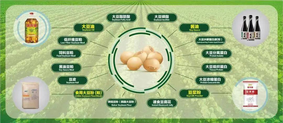 刘涛最新系列产品深度评测报告，特性解析与体验分享