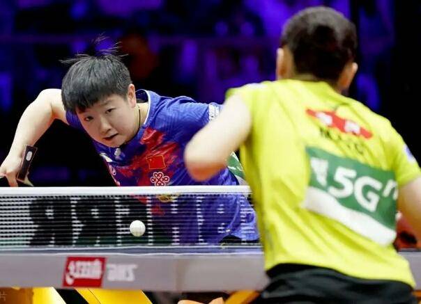 央视张玮最新图片，光影交错间的时代印记，2024年11月13日回顾