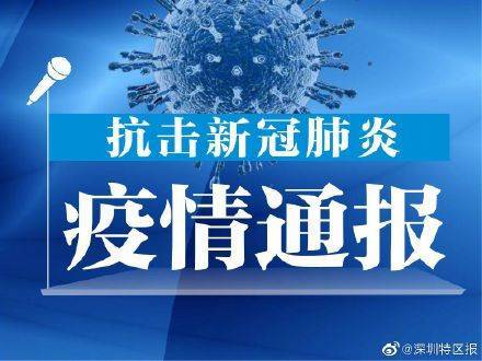 历史上的11月13日新冠病毒消息更新，爱与陪伴的力量，温馨日常的篇章