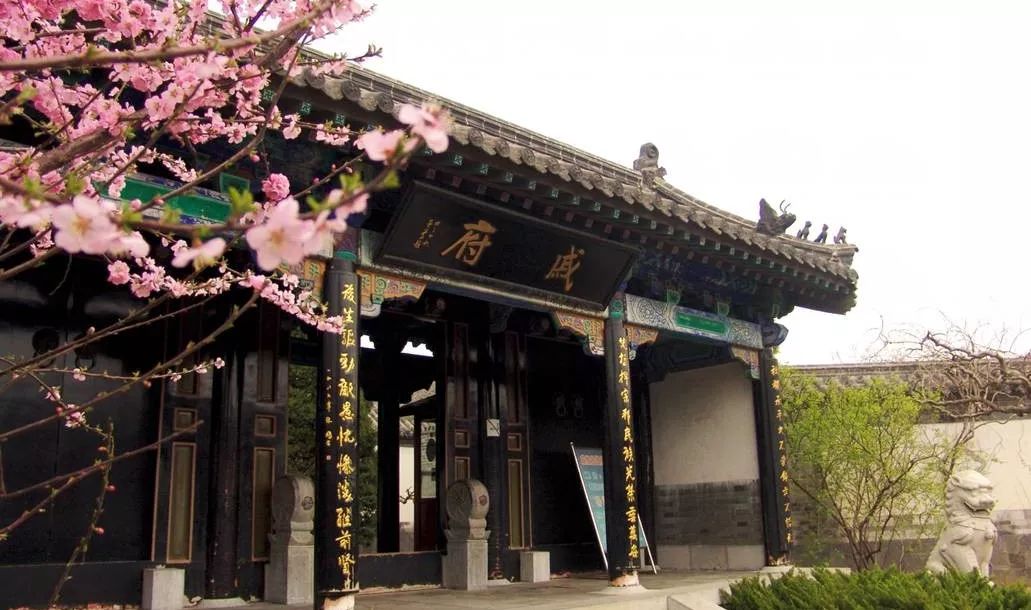 历史上的11月13日，澧县蓬莱花园的自然美景探索与挑战揭秘