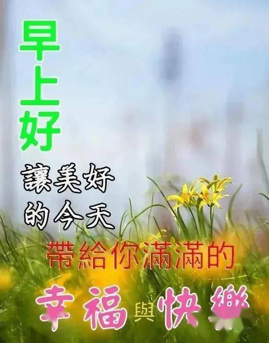 十一月温暖诗意，珍藏可爱句子精选，感受美好时光