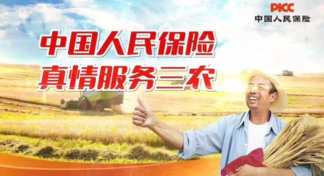 酒驾新司法解释下，心灵之旅，远离尘嚣探寻自然美景