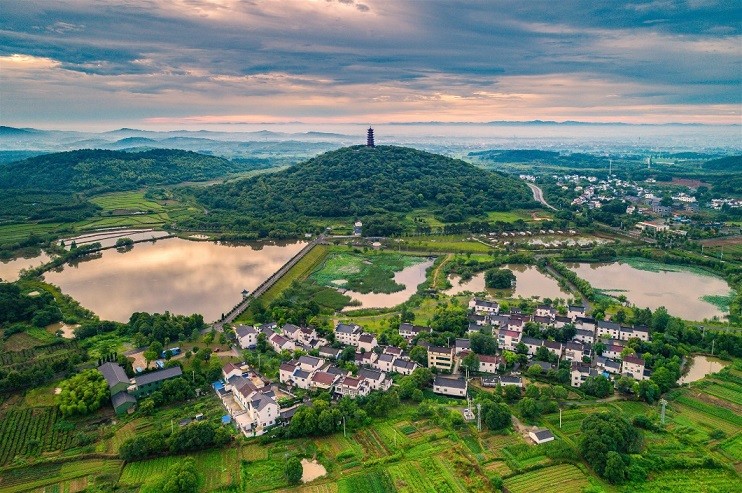 高淳诈骗揭秘，美景之旅背后的陷阱与警示