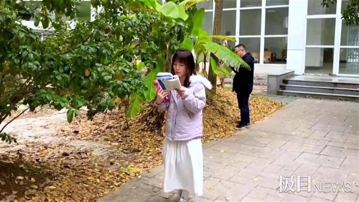 广东考车牌新规下的美食宝藏，独特小巷探秘与美食之旅