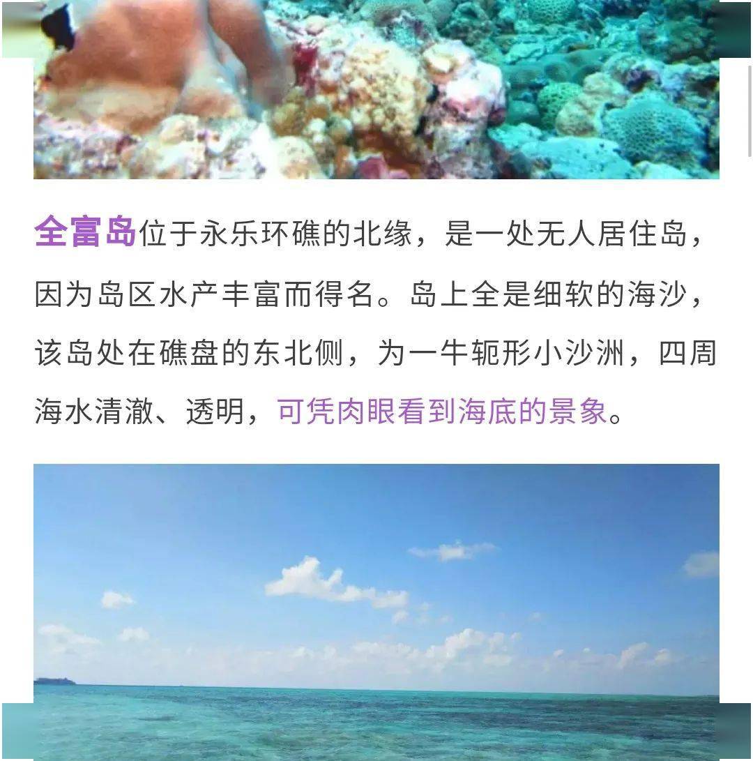 11月最新免费小说下载之旅，探索自然秘境，寻觅内心宁静与微笑