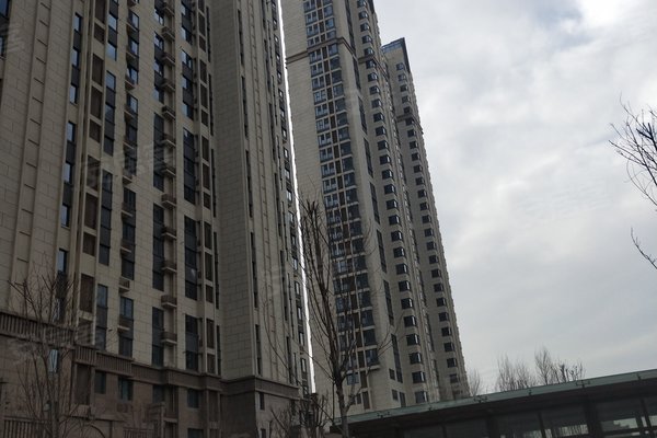 揭秘盛秦北苑隐藏小巷的独特小店与最新房价探索报告