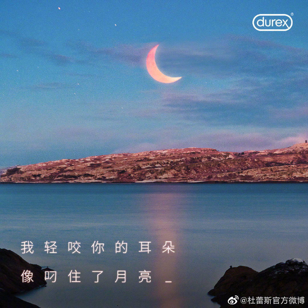 叶爱之旅，探索自然美景，寻找内心平静之旅（2024年11月15日最新）