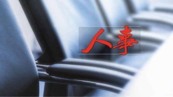 广东省委人事任免动态解析，历年人事调整概览（往年11月人事调整概览）