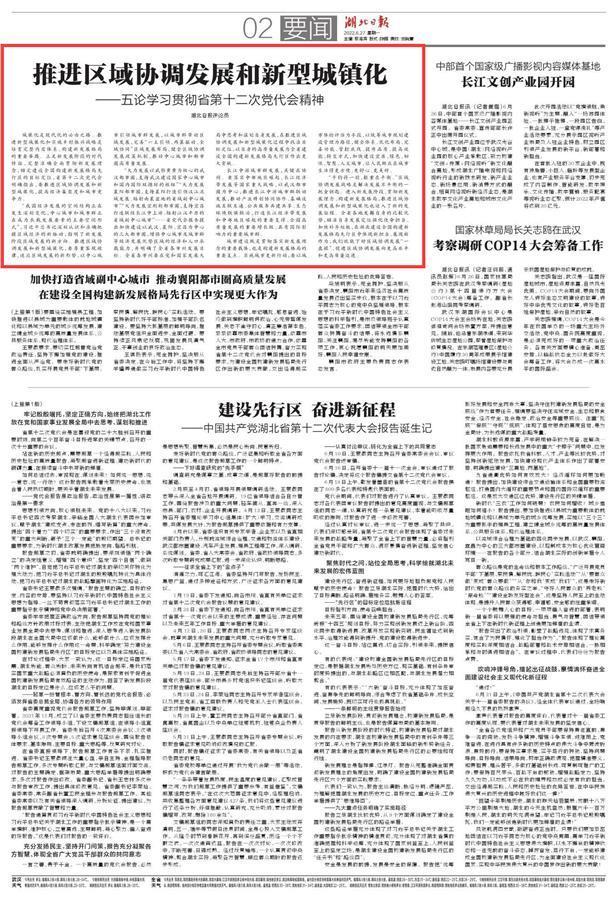 11月15日五千党最新小说，全面评测与介绍
