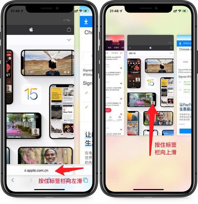 苹果最新拍照功能深度解析，揭秘11月15日更新亮点