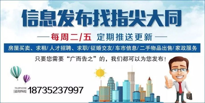 11月15日石家庄招聘网最新招聘信息全面解析与求职全攻略