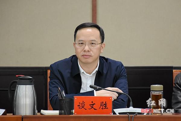 揭秘2024年唐门机关小猪任务最新流程与评测报告（全面解读版）