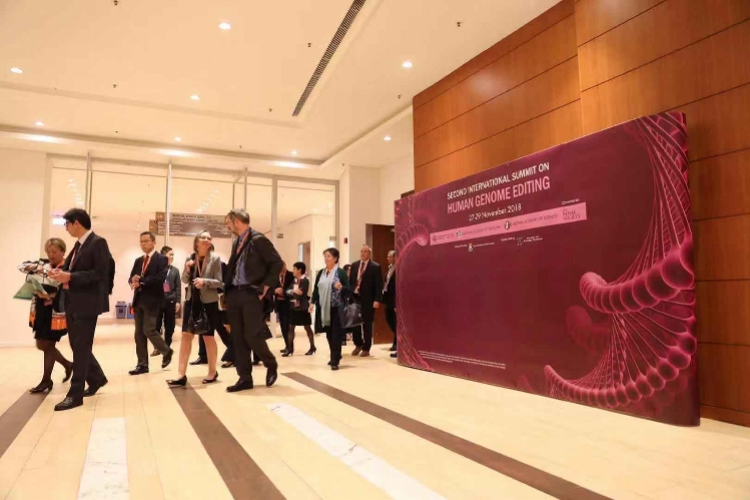 贺建奎最新进展，科技巨擘还是伦理挑战者的身份之谜？深度解读与最新情况揭秘（2024年11月）
