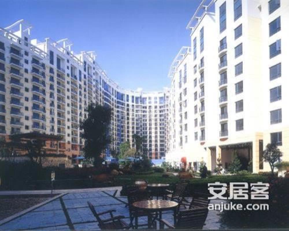 金乡温馨家园房屋出租背后的友情故事（最新信息）