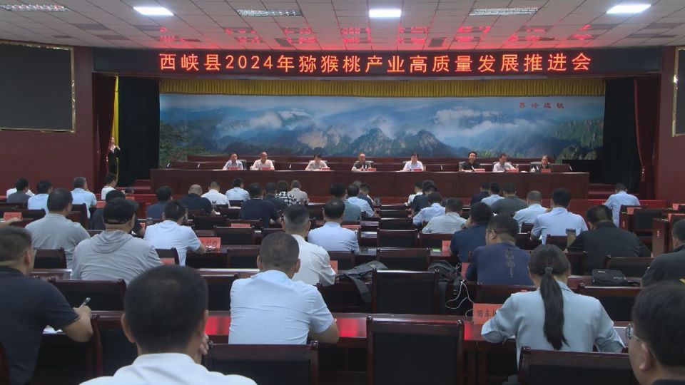 邢台平乡温馨日常中的快乐时光与友情纪实（XXXX年最新报道）