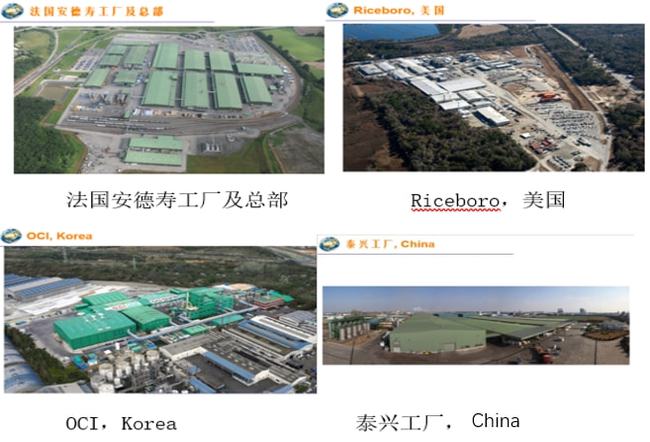 11月阜康市最新招标工程全面介绍与评测