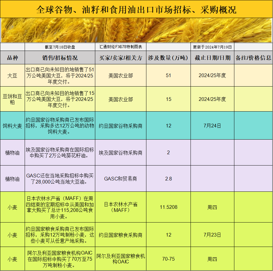 11月得日弟最新现象，深度解读及我的观点