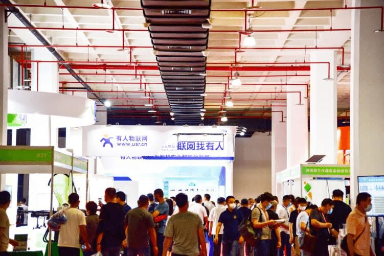 穿越宁采臣，学习之旅中的变化与成就感的碰撞