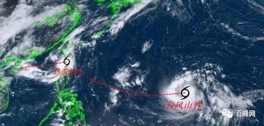 台风来袭下的勇气与智慧，逆风翻书，学习中的自信与成就感