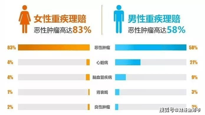 揭秘寿光历史天气变迁，11月22日最新天气回顾与揭秘