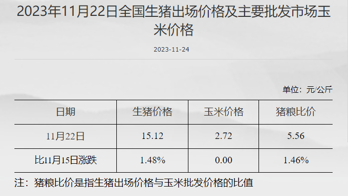 历史上的11月22日与最新快递发票，透视背后的历史发展及挑战揭秘
