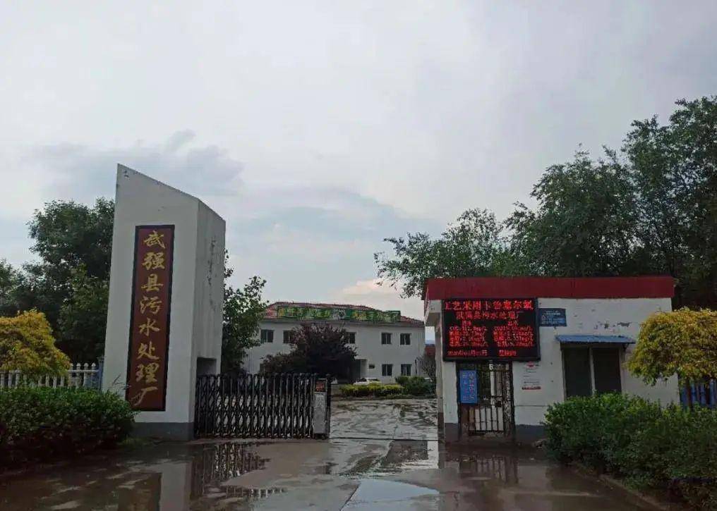 武强县二手房最新价格揭秘，背后的温馨故事与市场动态分析