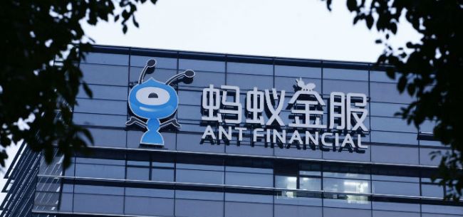 蚂蚁金服基金最新动态揭秘，神秘小巷特色小店下的新动态观察