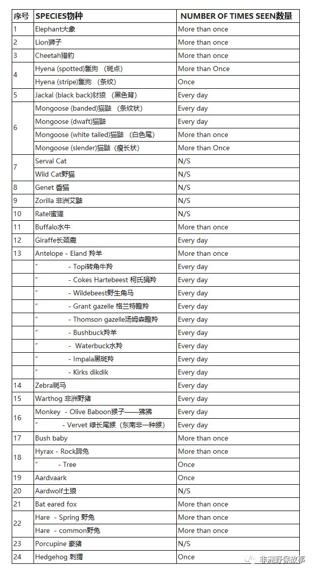最新动态解析，卡曼尼耶美肯全面评测与介绍