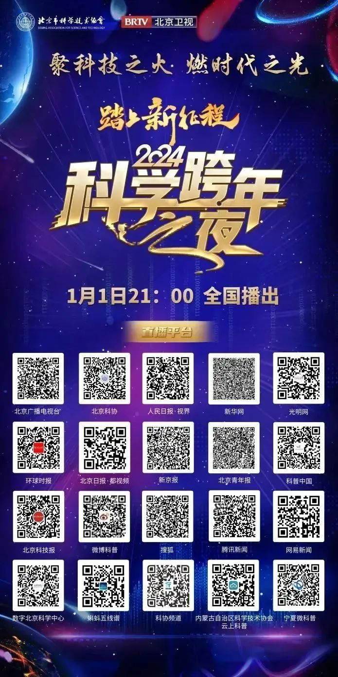 岁月之巅，最新小说选之深度解读与选读推荐（2024年11月25日）