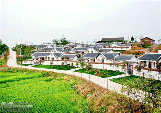往年11月25日贵州沿河乡镇热门新闻全攻略，一网打尽新闻解读与获取方式