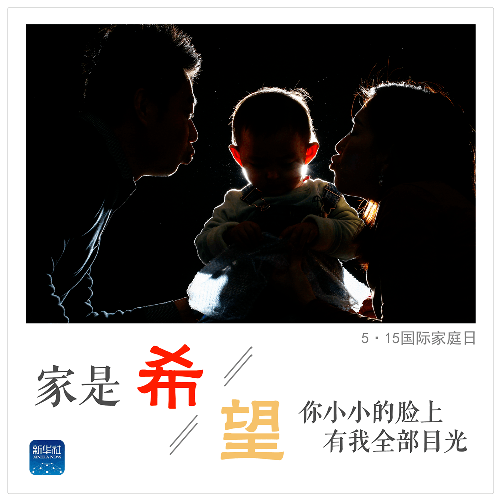 水富房屋奇缘，温馨故事与历史热门信息回顾