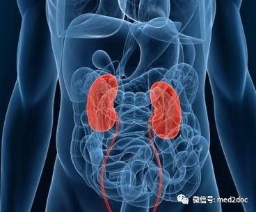 探秘美国肾脏美食秘境，2024年11月28日的美食之旅揭秘小巷深处的肾脏美食文化