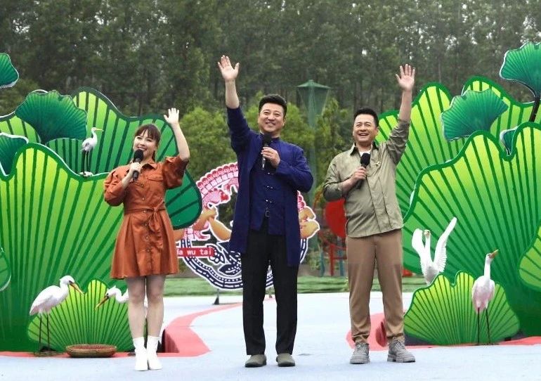 探寻最新猴视频背后的故事，历史上的11月28日揭秘时刻