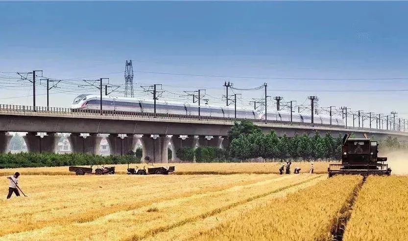 泰州铁路新纪元，友情与陪伴的温馨故事——11月28日铁路运行图回顾