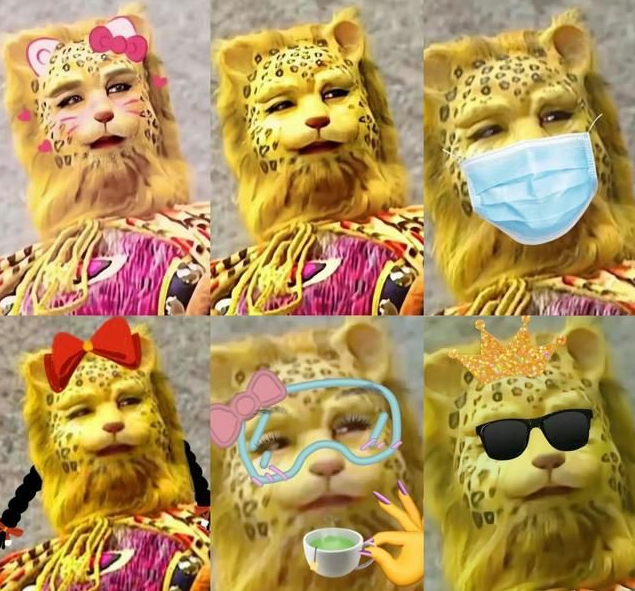 永州红狮未来展望，温馨猜想与友情奇遇的日常奇妙消息（猜测至2024年11月28日）