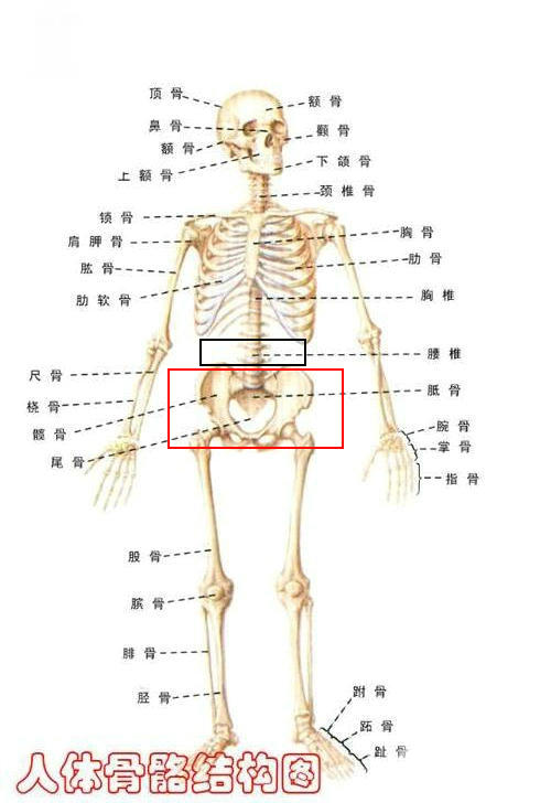 花开无言 第52页
