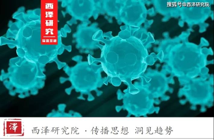 疫情下的探寻之旅，自然美景与内心宁静的追寻历程（历史篇）