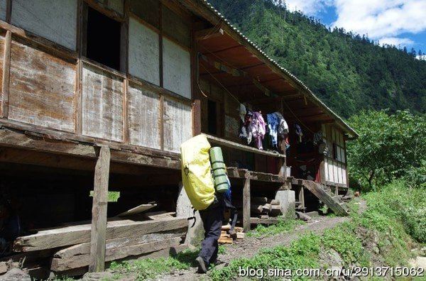 探秘特色小店，揭秘原料热门价格与特色美食背后的故事，2024年11月28日原料行情解析