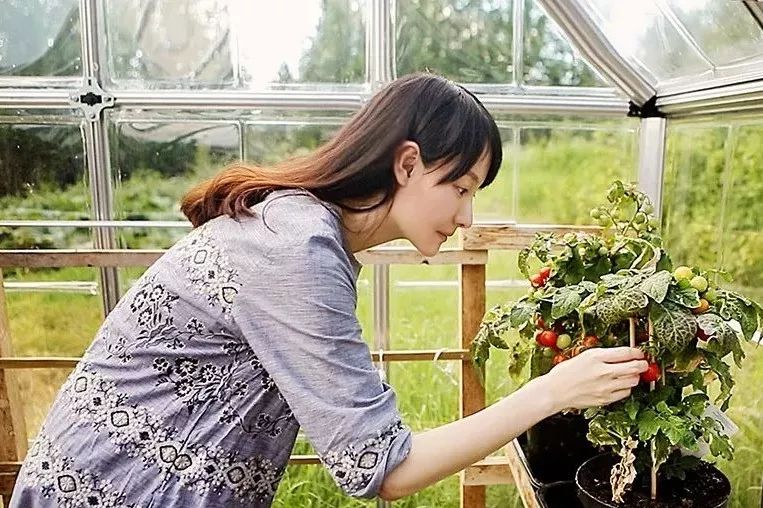 花开无言 第49页