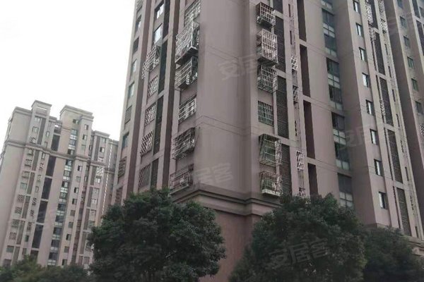 揭秘龙城秘境，最新房价与小巷深处的特色小店探秘
