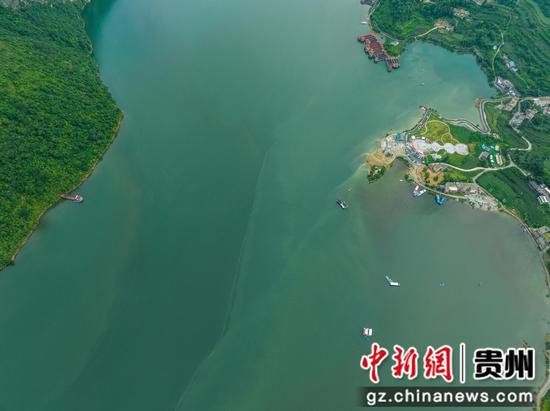 贵州省贵定县疫情下的坚韧与希望（最新观察，2024年11月30日）