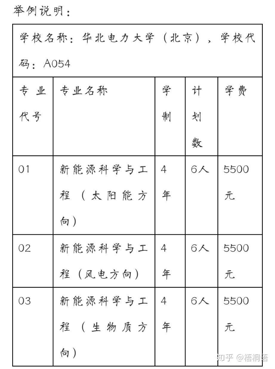 11月高考志愿填报指南，最新动态解读与策略洞悉